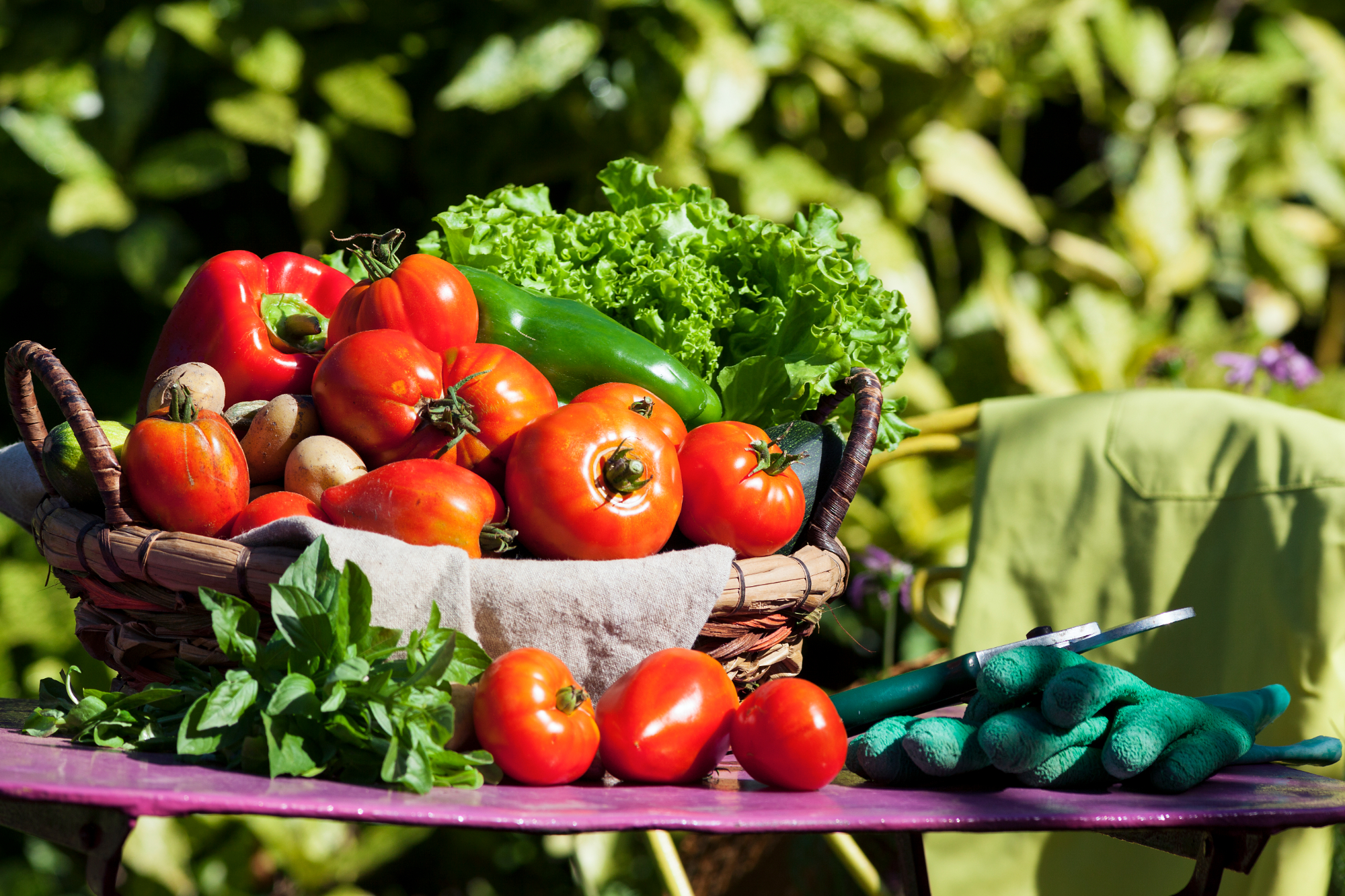 VIA Organic Agriculture LLC