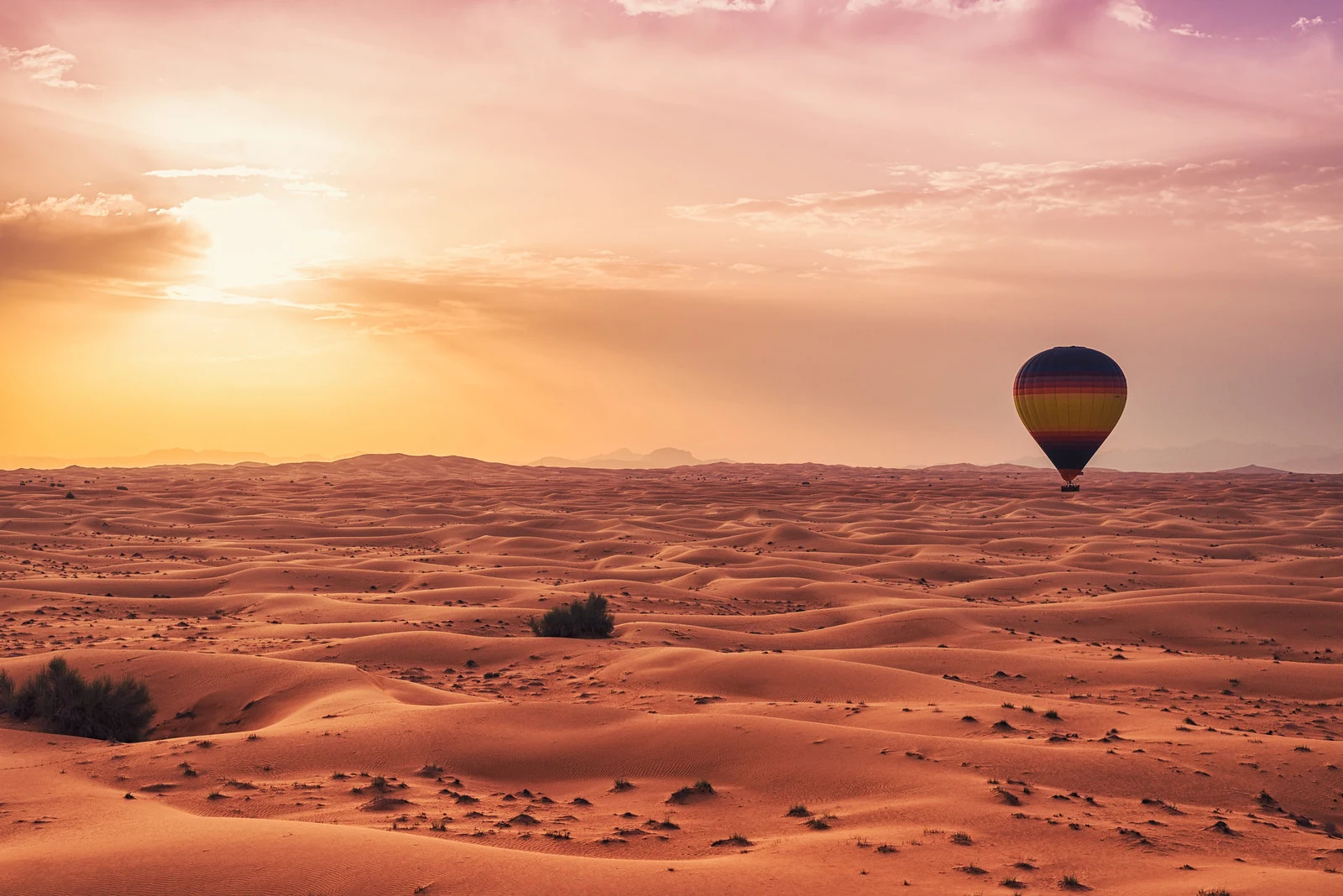 Dream Destination Travels Consultancy